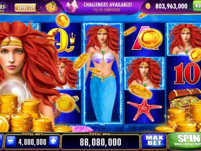 Sipot Bet Dashboard